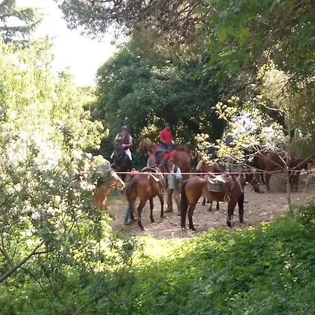 Nives Turismo Rurale Country house *