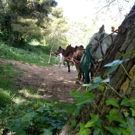 Nives Turismo Rurale